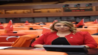 CHPli vekil muhasebecilerin yeşil pasaport alması kanun teklifi verdi