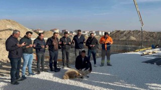 Çiçekdağı Belediyesi içme suyu çalışmasında son aşamaya geldi