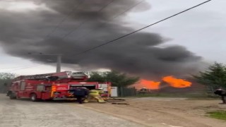 Çiftlikte yangın paniği