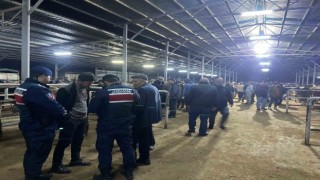 Çinede hayvan hırsızlarına karşı vatandaşlar bilgilendirildi