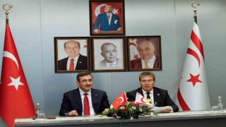 Cumhurbaşkanı Yardımcısı Yılmaz KKTCde