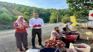 Daldan sofraya ekşi yolculuk