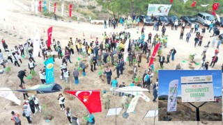 Denizlide 52 ayrı 100. Yıl Cumhuriyet Ormanında 49 bin adet fidan toprakla buluştu