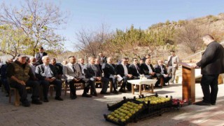 Deveci armudunda hasat zamanı
