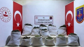 Diyarbakırda 312 kilo esrar ve bin 706 kök kenevir ele geçirildi