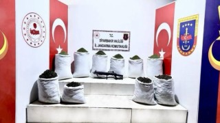 Diyarbakırda 454 kilo esrar ele geçirildi: 3 gözaltı