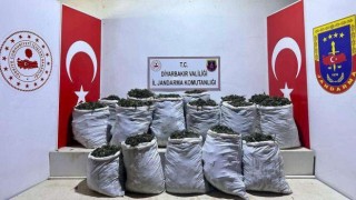 Diyarbakırda 532 kilo esrar maddesi ele geçirildi