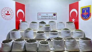 Diyarbakırda 914 kilogram esrar ele geçirildi: 2 gözaltı