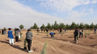 Diyarbakırda öğrenciler fidan dikti