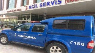 Dolandırıcılık suçun aranan şahıs jandarmanın uygulamasında yakalandı