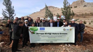 DTSO AB Bilgi Merkezi Erganide 10 bin ağaç dikti