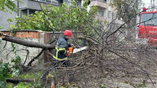 Düzcede fırtına ile mücadele devam ediyor