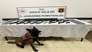 Düzcede kaçak silah operasyonu