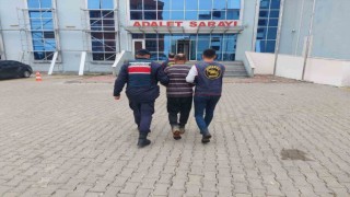 Edirnede 54 yıl hapis cezası olan şahıs koyun ağılında yakalandı