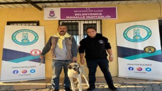 Eğitimini tamamlayan bir köpek daha sahiplendirildi