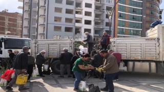 Elazığda vatandaşlara ücretiz fidan dağıtıldı