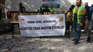 Ercişteki yetiştiricilere 30 bin adet ceviz ve badem fidanı dağıtıldı