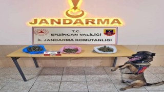 Erzincanda jandarma ekipleri suça geçit vermiyor