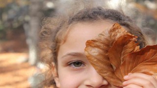 Erzincanda ormanlık alanlarda renk cümbüşü