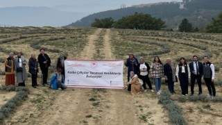 Eskişehirli hanımlar safran diyarı Safranboluda söz verdi