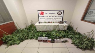 Evinde uyuşturucu madde yetiştirmek için kurduğu düzenek nedeniyle yangın çıktı
