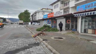 Fethiye seralar hasar gördü, ağaçlar devrildi