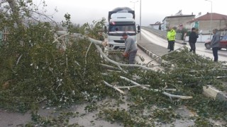 Fırtına Alaşehirde hayatı olumsuz etkiledi