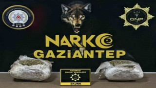 Gaziantepte 1.5 kilogram skunk ele geçirildi