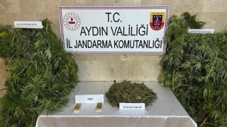 Germencikte uyuşturucu operasyonu