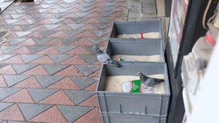 Güvercinler marketteki pirinç kovalarının içine girdi