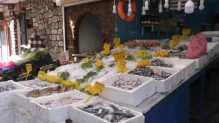 Hamsinin kilo fiyatı 35 liraya düştü