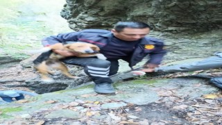Hatayda kuyuya düşen köpeği, itfaiye kurtardı