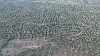 Havran İlçe Tarımda dron dönemi