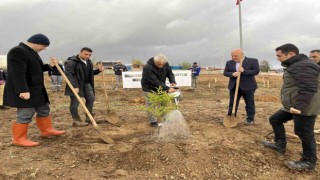 Hayraboluda 100. Yıl Cumhuriyet Ormanı oluşturuldu