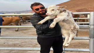 Hobi olarak başladı, Türkiyenin dört bir yanına hayvan satıyor