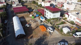 Hurma kurutma işi mahalleyi fabrikaya çevirdi