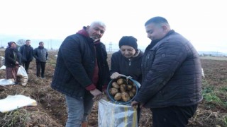 İkinci dönem ekimi yapılan patateste hasat döneminin sonuna gelindi