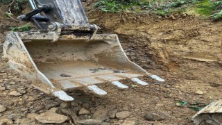İş makinesi operatörünün dikkati 9 yavru sincabın hayatını kurtardı