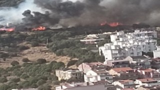 İzmirde yerleşim yerlerine yakın alanda orman yangını