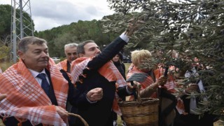 İzmirde zeytin ve zeytinyağı sezonu açıldı