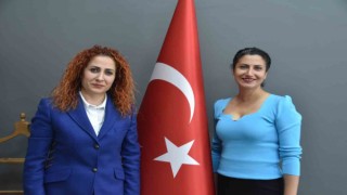 İzmirli öğrenciler sokak hayvanlarına barınak yaptı