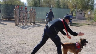 JAKEM köpekleri hünerlerini Katarlı askerler için sergilediler