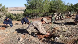 Jandarma 100. yıla özel 100 fidan dikti