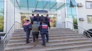 Jandarma 120 kilo zeytin çalan 3 şüpheliyi yakaladı