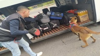 Jandarma ekiplerinden aranan şahıslara operasyon