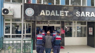 Jandarmanın operasyonunda 2 organizatör yakalandı