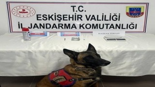 Jandarmanın uyuşturucu ile mücadelesinde 2 şahıs tutuklandı