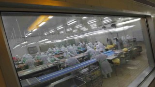 Japonyada kuş gribi nedeniyle 72 bin kümes hayvanı itlaf edilecek