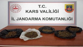 Karsta 700 gram bonzai ele geçirildi