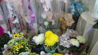 Karsta çiçekler öğretmenlere hazırlanıyor